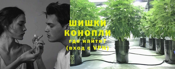 альфа пвп Горнозаводск