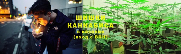 альфа пвп Горнозаводск