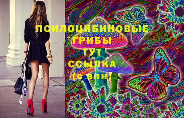 альфа пвп Горнозаводск
